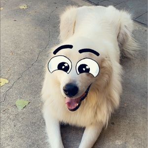 Meet your Posher, Vicky